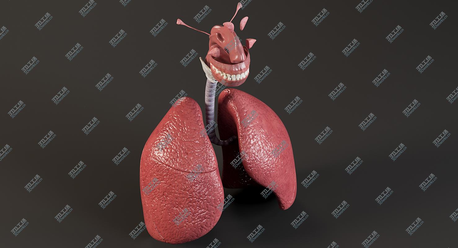 images/goods_img/2021040161/3D model Man Respiratory System/5.jpg